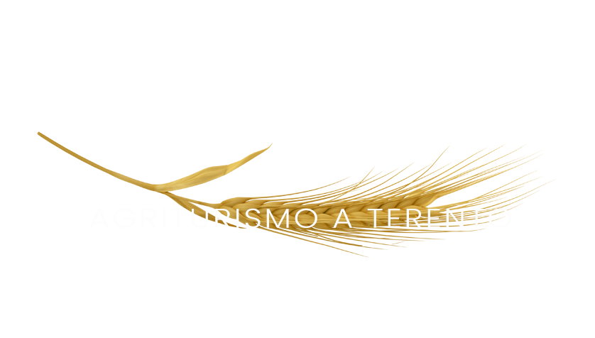 Vacanze a Terento al Forchnerhof